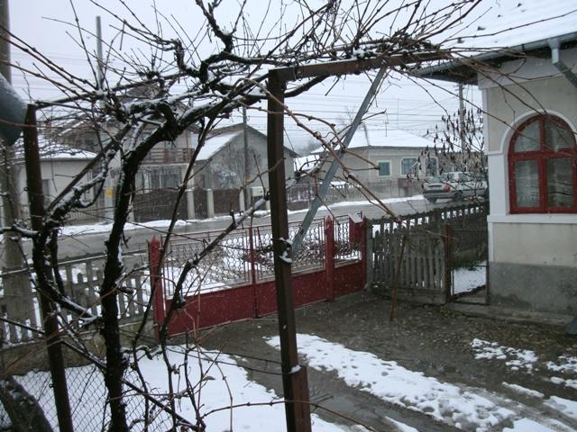 pregatiri - gedc02751.JPG